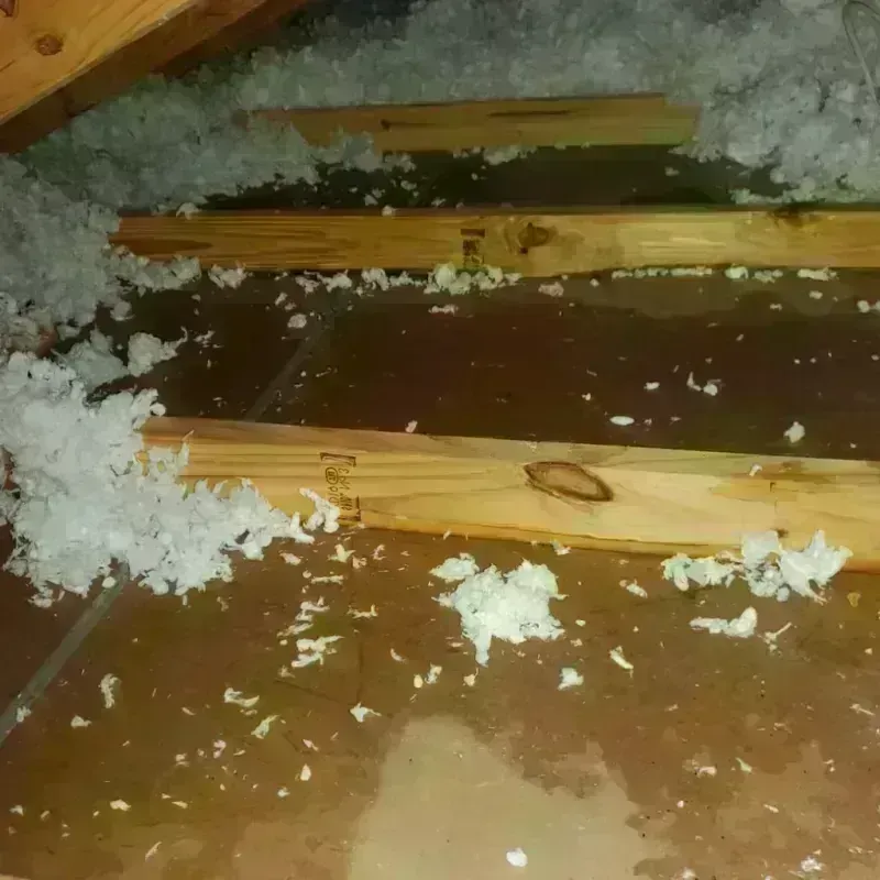 Attic Water Damage in Spencer, IN